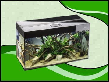 Aquael Glossy 150 zwart aquarium (Glossy aquarium serie), Dieren en Toebehoren, Vissen | Aquaria en Toebehoren, Verzenden, Nieuw