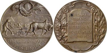 Brons medaille 1924 Hoyerswerda, Verzenden, België