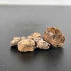 Pakket Diogenita NWA 14056 meteoriet van VESTA, asteroïde, -