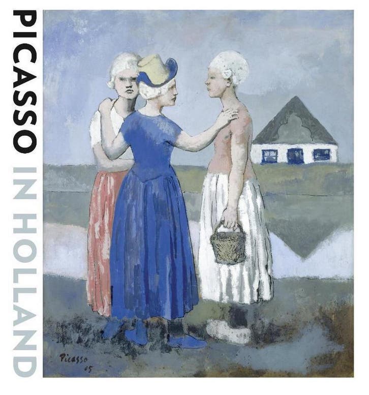 Picasso in Holland 9789462620896 Gerrit Valk, Boeken, Kunst en Cultuur | Beeldend, Zo goed als nieuw, Verzenden