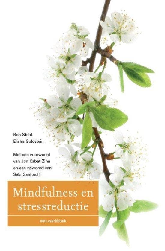 Mindfulness en stressreductie - Stahl, Boeken, Psychologie, Verzenden