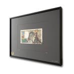 Ciscø (1979) -  Sauvage