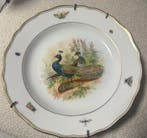 Meissen - Bord - Porselein - Prachtige Pauw, Antiek en Kunst