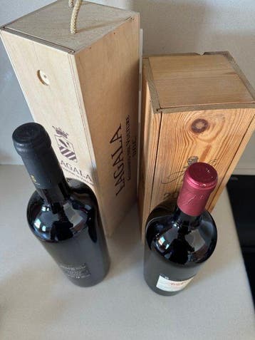 2007 Lagala Aquila del Vulture & 2004 Arnolfo di Cambio -