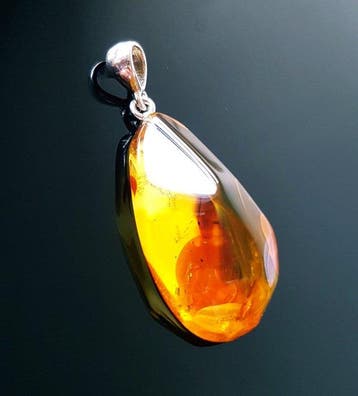 Amber Uniek natuurlijk Baltisch barnsteenhanger- 5 g