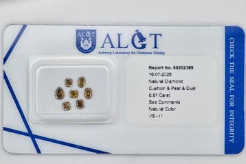 Zonder minimumprijs - 7 pcs Diamant (Natuurlijk) - 0.81 ct -, Handtassen en Accessoires, Edelstenen, Nieuw