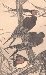 Swallows and willow branch - Taken from Keinen Kach Gafu