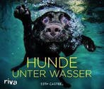 Hunde unter Wasser 9783868832808 Seth Casteel, Verzenden, Seth Casteel