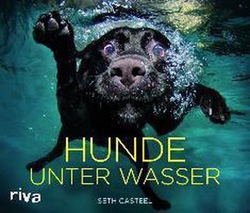 Hunde unter Wasser 9783868832808 Seth Casteel, Verzenden, Seth Casteel