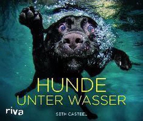 Hunde unter Wasser 9783868832808 Seth Casteel, Livres, Langue | Allemand, Envoi