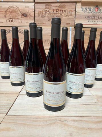 2024 Paul Henri Lacroix Bourgogne Hâutes Côtes de Beaune -, Nieuw