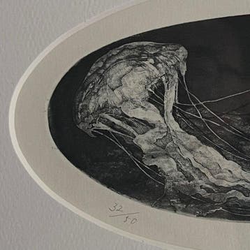Etching Stargazer EDITION 32/50 (Framed) 2012 with
