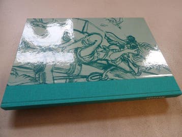 Natasja 22 - De blauwe sperwer - luxe hc op groot formaat, Boeken, Nieuw