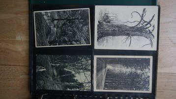 Album Bomen uit diverse landen - Waarbij speciale, grote en