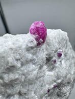Extraordinaire!! Rubis pigeon-sang Cristal sur matrice -