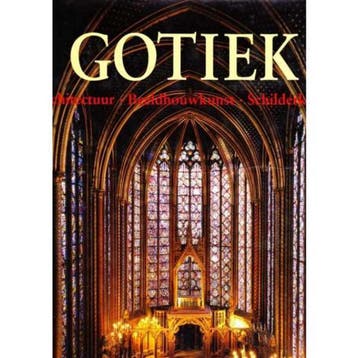 De kunst van de gotiek 9783829017404, Verzenden, Gelezen