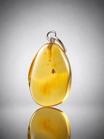 Gouden Baltische barnsteen hanger – Goed bewaarde, Antiek en Kunst