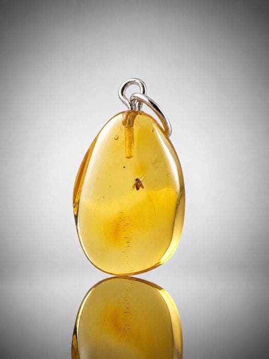 Gouden Baltische barnsteen hanger – Goed bewaarde, Antiquités & Art, Curiosités & Brocante