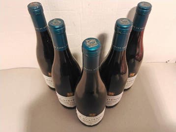 2017 La Mystèriale Santenay Premier Cru - Santenay Premier, Nieuw