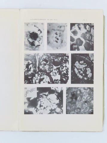 [Elektronenmicroscopie] - The Electron Microscope,, Antiek en Kunst