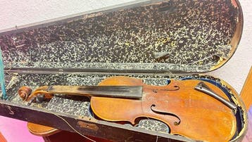 Violine 4/4 - - Viool - Italië - 1800 (Zonder minimumprijs), Nieuw