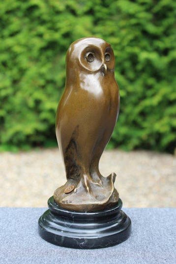 sculptuur, Young owl - 2,2 kg - 25 cm - Gepatineerd brons, Antiek en Kunst