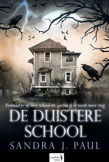 De duistere school / Kraaidorp / 1 9789082893946, Boeken, Verzenden, Zo goed als nieuw, Sandra J. Paul