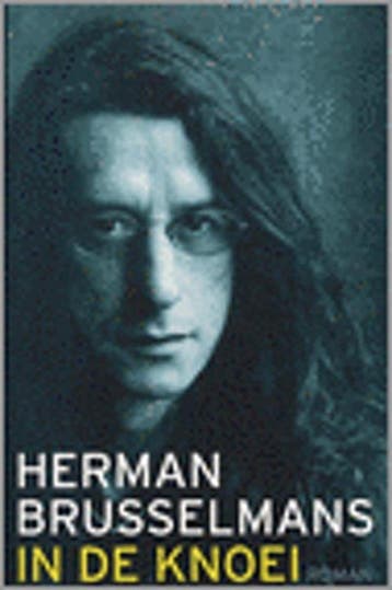 In de knoei 9789085191124 Herman Brusselmans, Verzenden, Gelezen, Herman Brusselmans