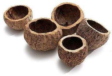 Ourico Naturel stuk, Nieuw