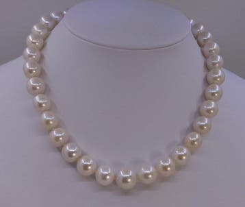 Zonder minimumprijs - Halsketting 11 x 14,5 mm ronde witte