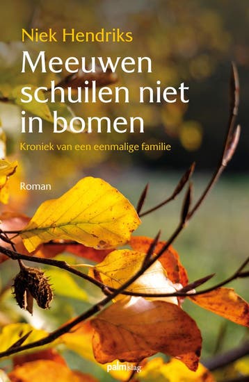 Meeuwen schuilen niet in bomen 9789493245709 Niek Hendriks, Verzenden, Zo goed als nieuw, Niek Hendriks