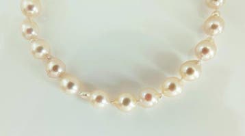 Zonder minimumprijs - Armband Zilver Parel - Akoya parel,, Nieuw