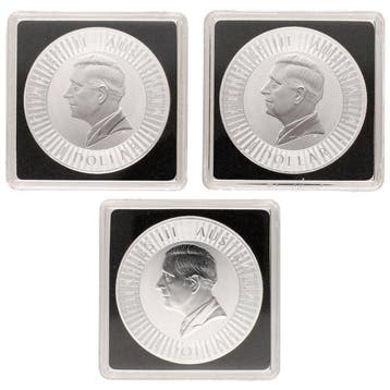 Australië. 1 Dollar 2026 - Australian Wilderness 1 Oz (3, Postzegels en Munten