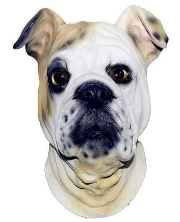 latex hondenmasker, Verzenden, Nieuw