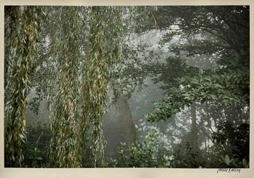 John Batho (1939) - Giverny, Octobre 1980