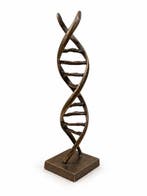 Ben Wouters (XX) - sculptuur, Abstract DNA sculptuur - 53 cm