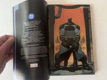 Batman - tpb: Absolute Batman ´the zoo´, Arkham Asylum,, Boeken, Nieuw