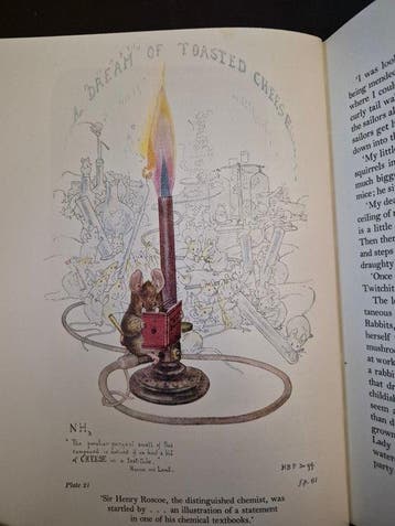 Margaret Lane - The Tale of Beatrix Potter (38/100 Signed