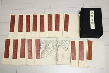 Iwasaki Kanen - Honzozufu [Limited version 256/700] Case 5