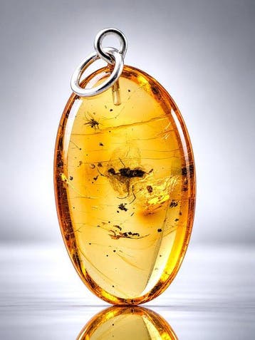 Museum-kwaliteit Baltisch amber hanger – ALATE MIER- en
