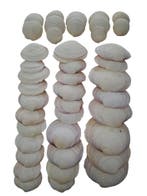 Codakia Tigerina schelpen 1 kilo, Nieuw