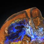 GEEN RESERVE. EXCLUSIEF 198 g! Natuurlijke OPAL in VERSTEEND, Verzamelen