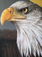 Donatella Ramazzotti - Eagle