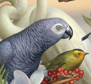 Kleury.art - Tropical Aviary” by Kleury.art (3/5)