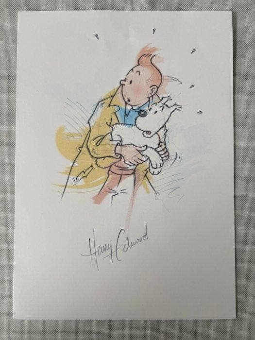 Tintin - Harry Edwood - Lot de lithographies - 1 Lithografie, Livres, BD