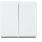 ABB Busch-Jaeger Balance SI Control Element/Central Plate, Verzenden