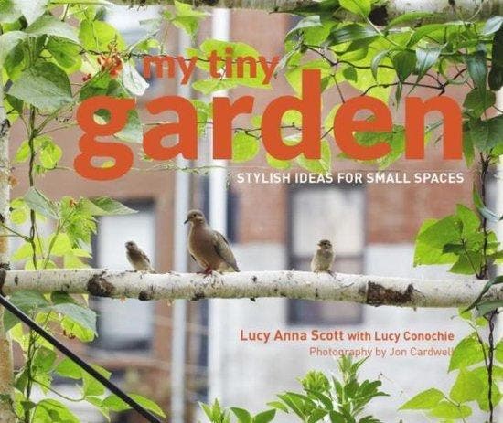 My Tiny Garden 9781910496541 Lucy Scott, Boeken, Taal | Engels, Gelezen, Verzenden