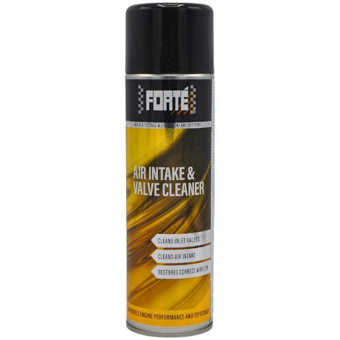 Forté Air Intake & Valve Cleaner - Inlaatsysteem Reiniger, Autos : Pièces & Accessoires, Moteurs & Accessoires, Envoi