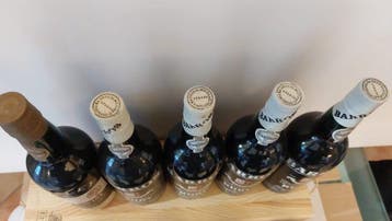 Barros, Ruby Port (4x), Lenteiro, Ruby Port & Offley, Duke