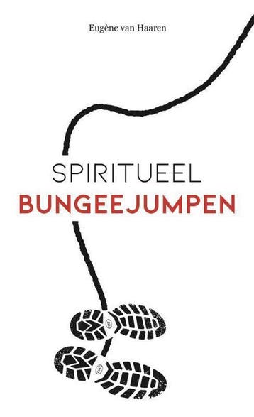 Spiritueel bungeejumpen 9789492883568 Eugène Van Haaren, Verzenden, Gelezen, Eugène Van Haaren